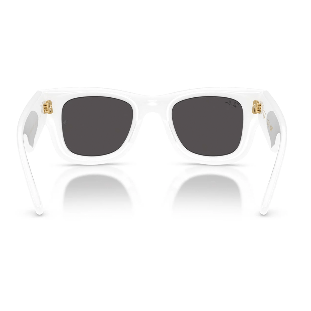 Ray-Ban Wayfarer Puffer RB4940 671/87 by A$AP Rocky Sunglasses Mixed